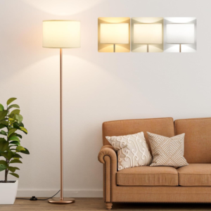 Home ca9117a4 30fb 420d a5b3 7c5c60055aae.16ec4ddee6e38e49f2f3bbafe758910b.png